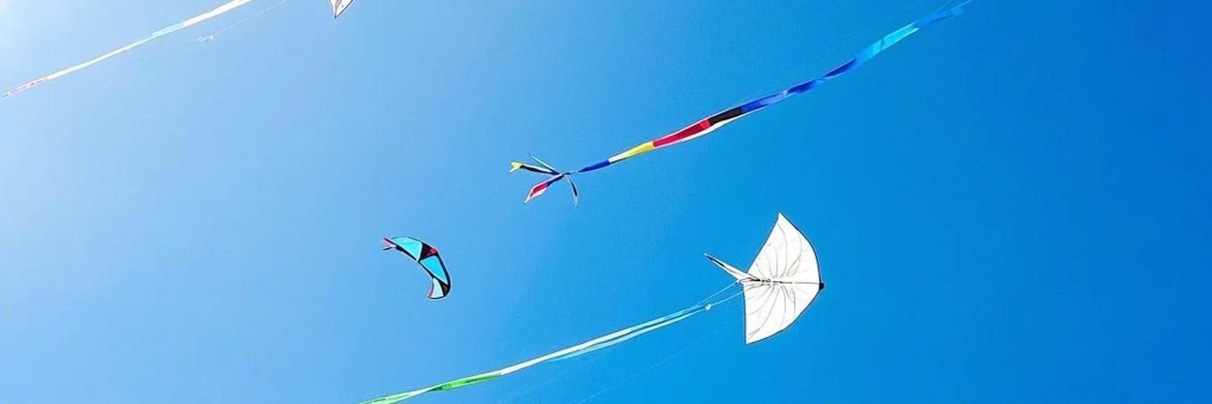 Kite Flying Shop High-Quality Kites for Every Flying Adventure!